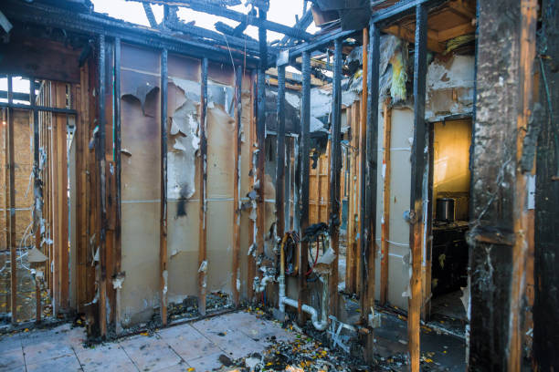 Professional Smoke Damage Removal technician working in Lake Mary, FL